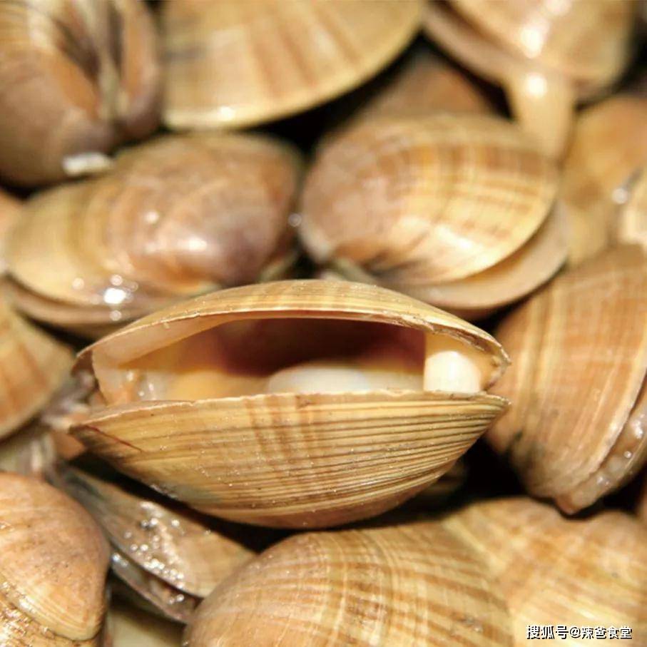 蛤肉也是呈黄色,贝壳上有暗黄色的斑纹,是蛤蜊类中最受欢迎的种类之一