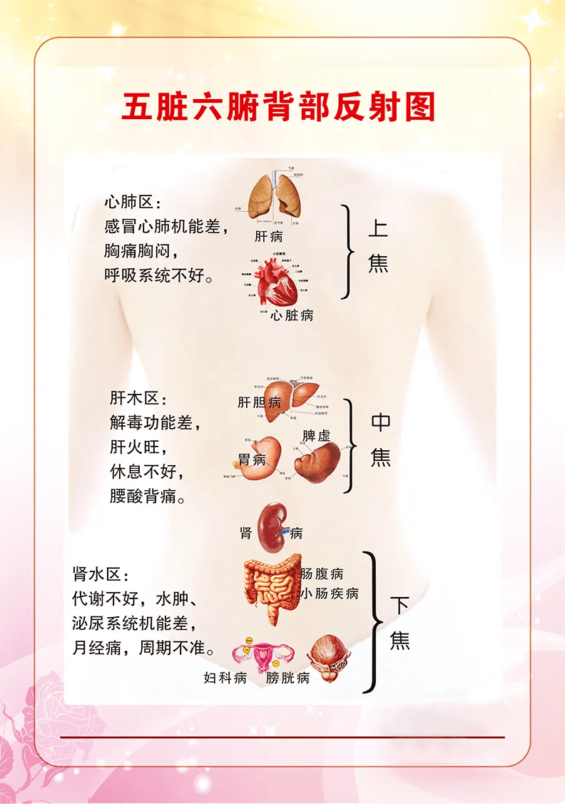 你的身體毒素正在淤堵建議大掃除