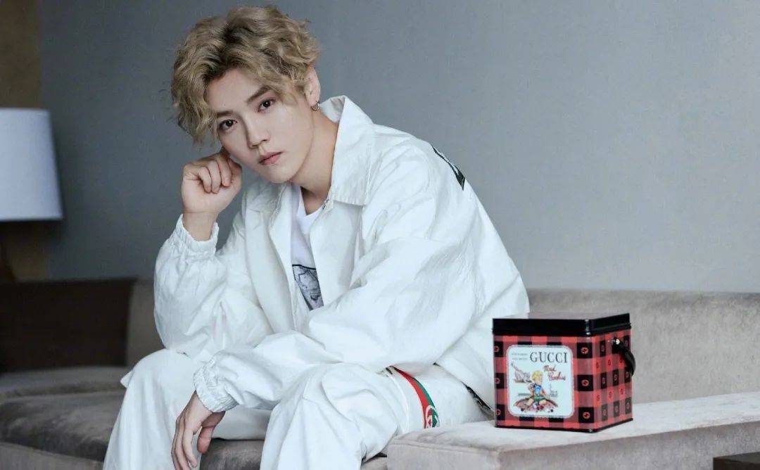 鹿晗与黑豹乐队为旗下艺人风华秋实递交香港ipo申请