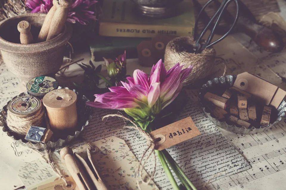 原材料涨价推高家电价格,有利于高端市场蛋糕做大?-家电圈官网