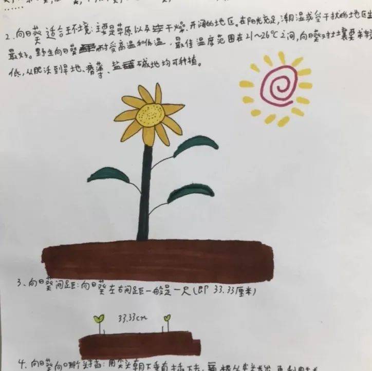 躬耕实践播种希望向阳而生