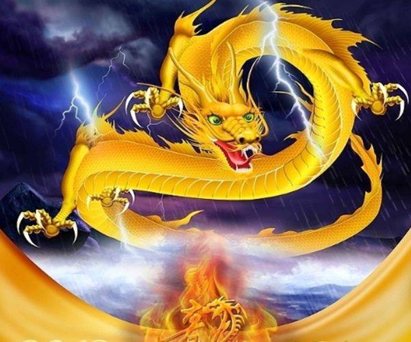 原创属猪的和属龙的配吗