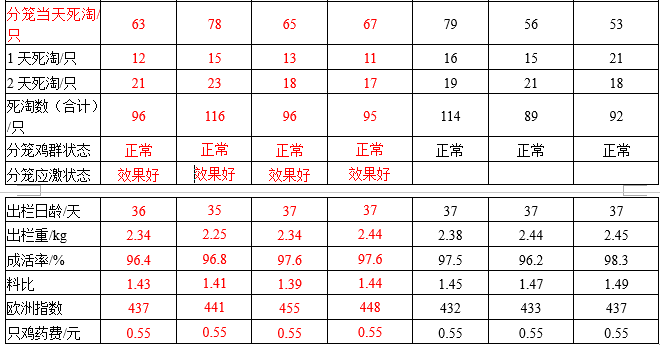 杜仲葉提取物幸福100緩解籠養肉雞分籠應激的大田實驗