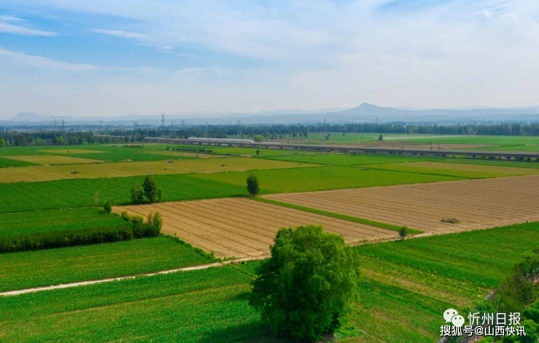 忻府区多点开花推动新型农村集体经济发展壮大