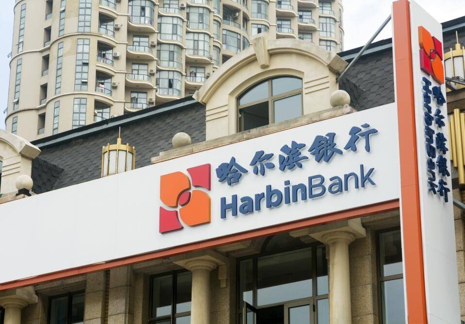哈尔滨银行流水单定做 来自搜狐网