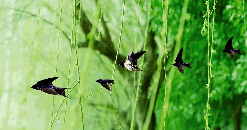 春分过后