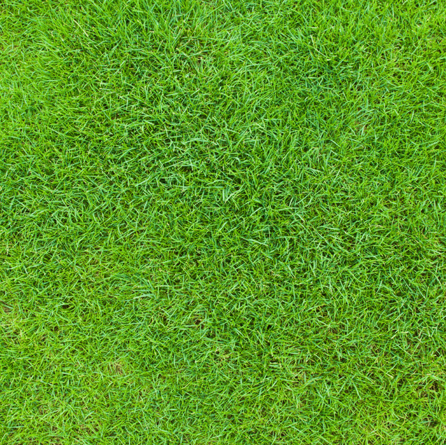 涵品教育地铁老师网红设计师如何用ps制作小草字体