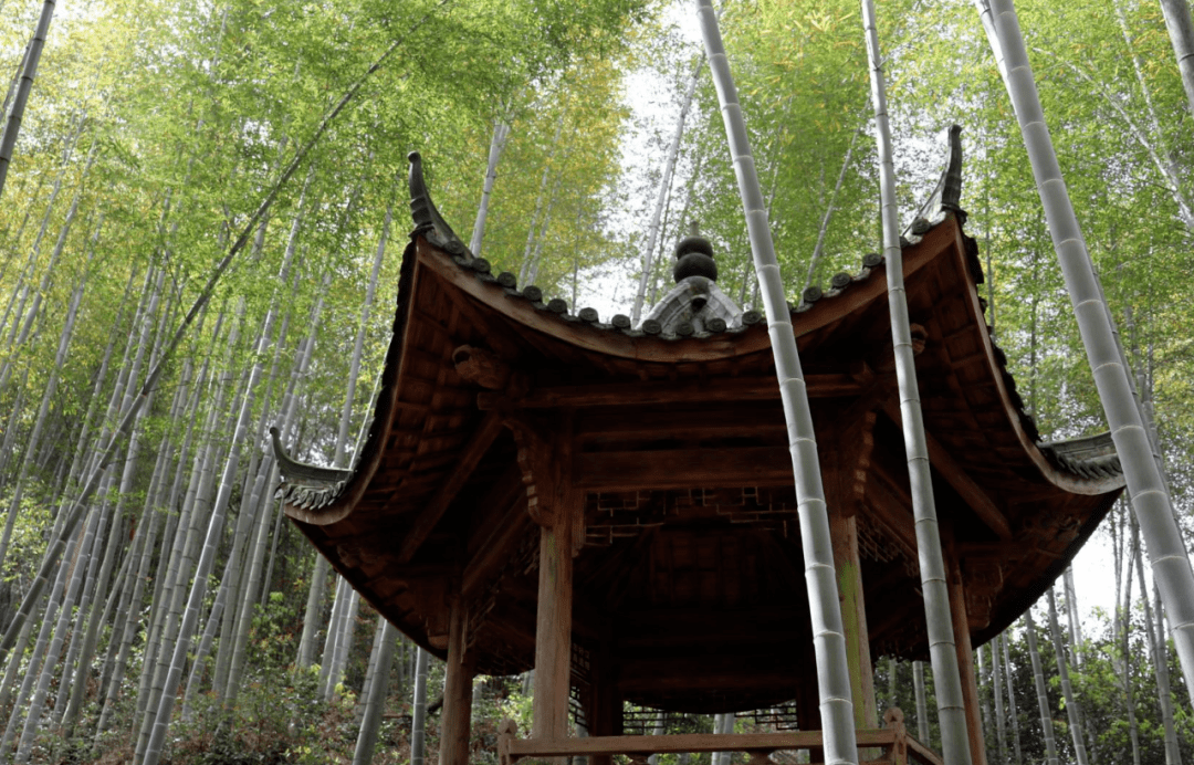 金华凤凰山我氧你