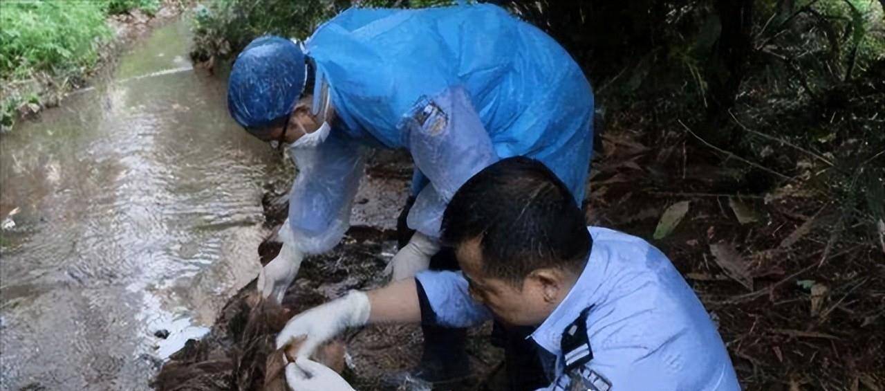 原创女主持佟瑶酒后内急在江边小解不幸落水身亡令人惋惜
