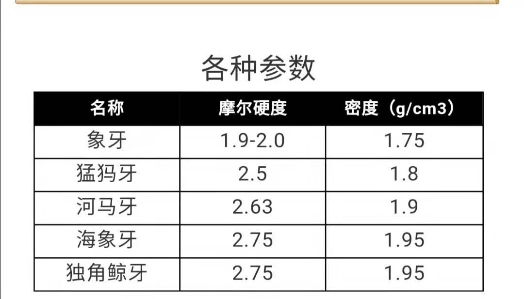 独角鲸世界上牙齿最硬的动物它的那根角是干嘛用的