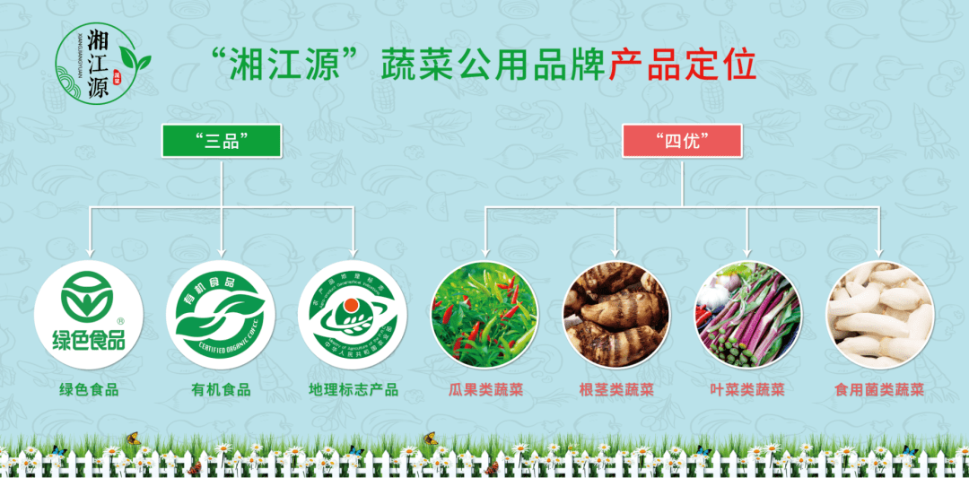 向农业强省进发,湖南蔬菜拓宽品牌全国化传播格局!_辣椒_湘江_永达