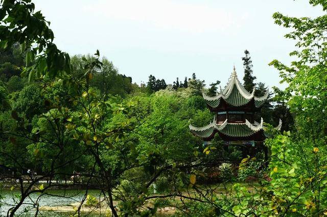 距贵阳市中心12公里，藏着一公园，由北湖和南湖组成，门票免费