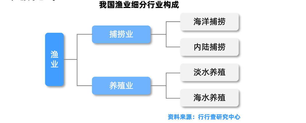 水产养殖什么最有前景 水产养殖行业的发展前景