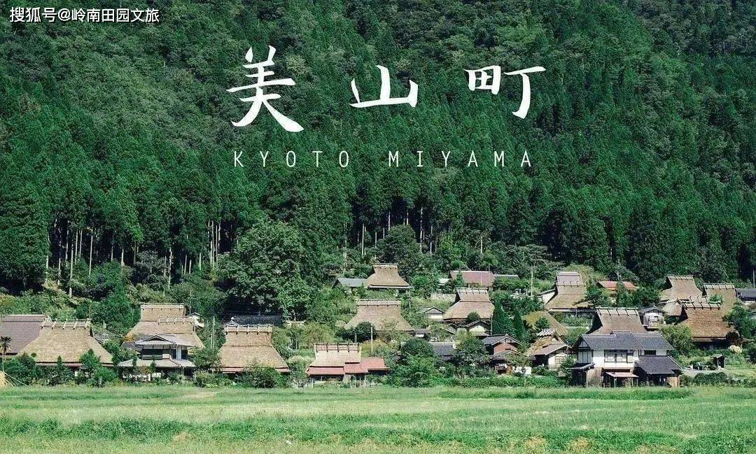 38间茅草屋7千万游客打卡，美而不土的顶级网红村？！_美山_屋顶_村里