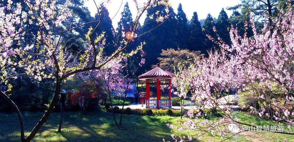 以诗词之名,赴一场庐山春宴!_李白_陶渊明_桃花源