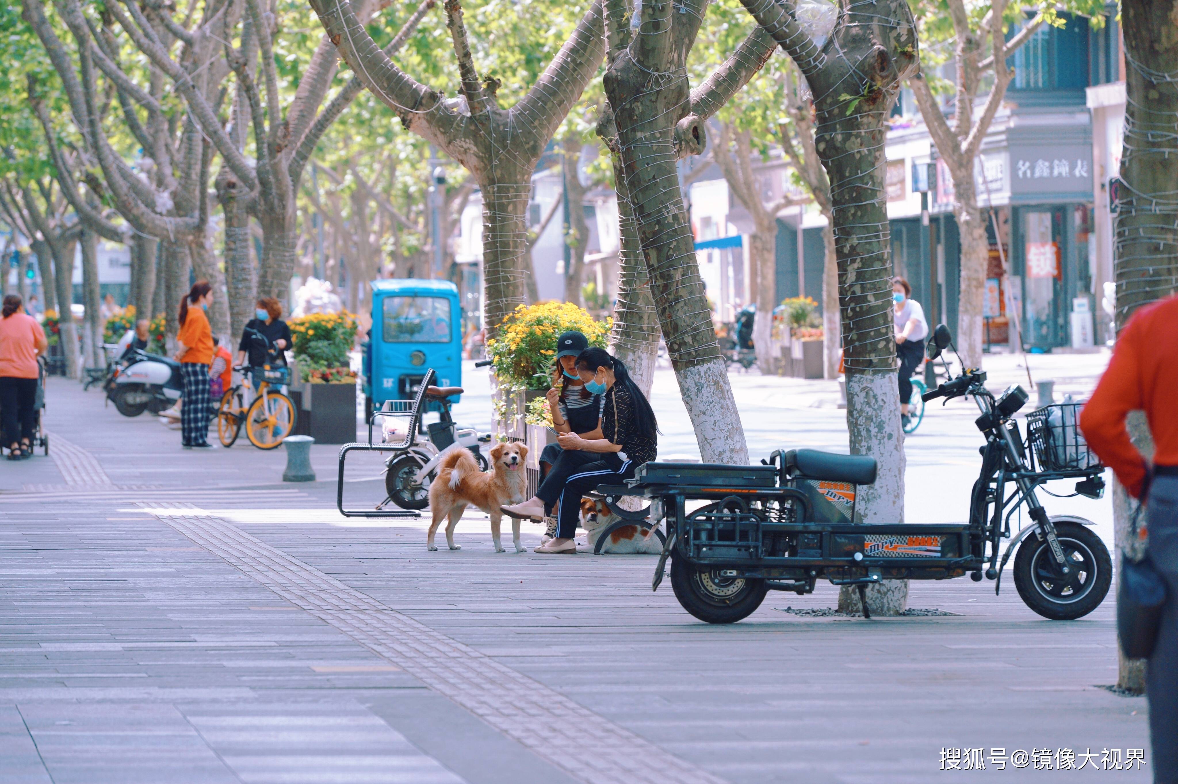 成都行走在玉林路的街头