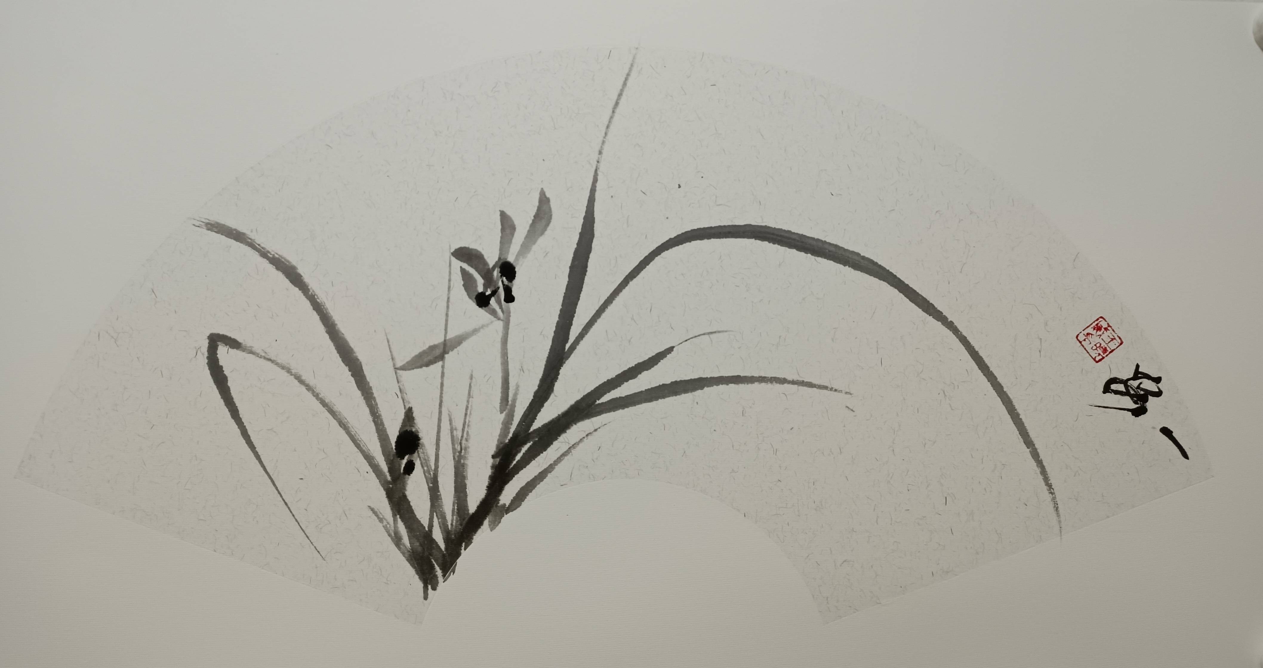 王晓威梅兰竹菊扇面水墨作品古典美