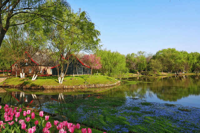 南京一小众公园，藏在绿博园内，占地5万平方米，超适合拍照打卡