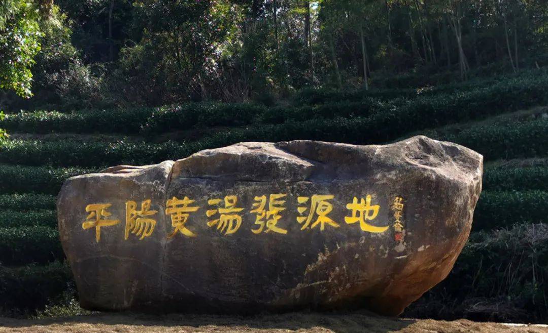 畲乡茶韵平阳黄汤茶博园旅游形象片