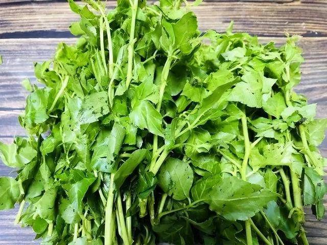 天然野菜勿乱食,小心中毒送医院_香椿芽_食用_白花菜