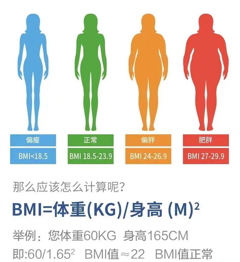 看体重指数(bmi)如何判断自己是否为肥胖?