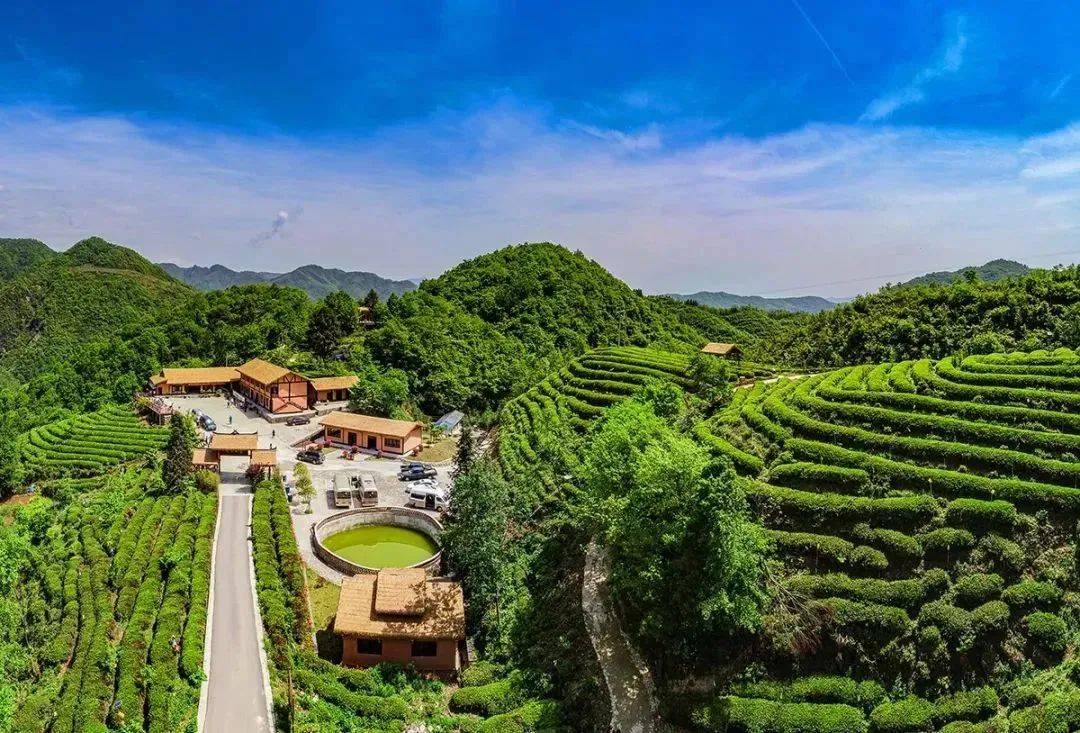 空气清新,生态良好,土壤肥沃,是广元名茶——七佛贡茶的主产地之一