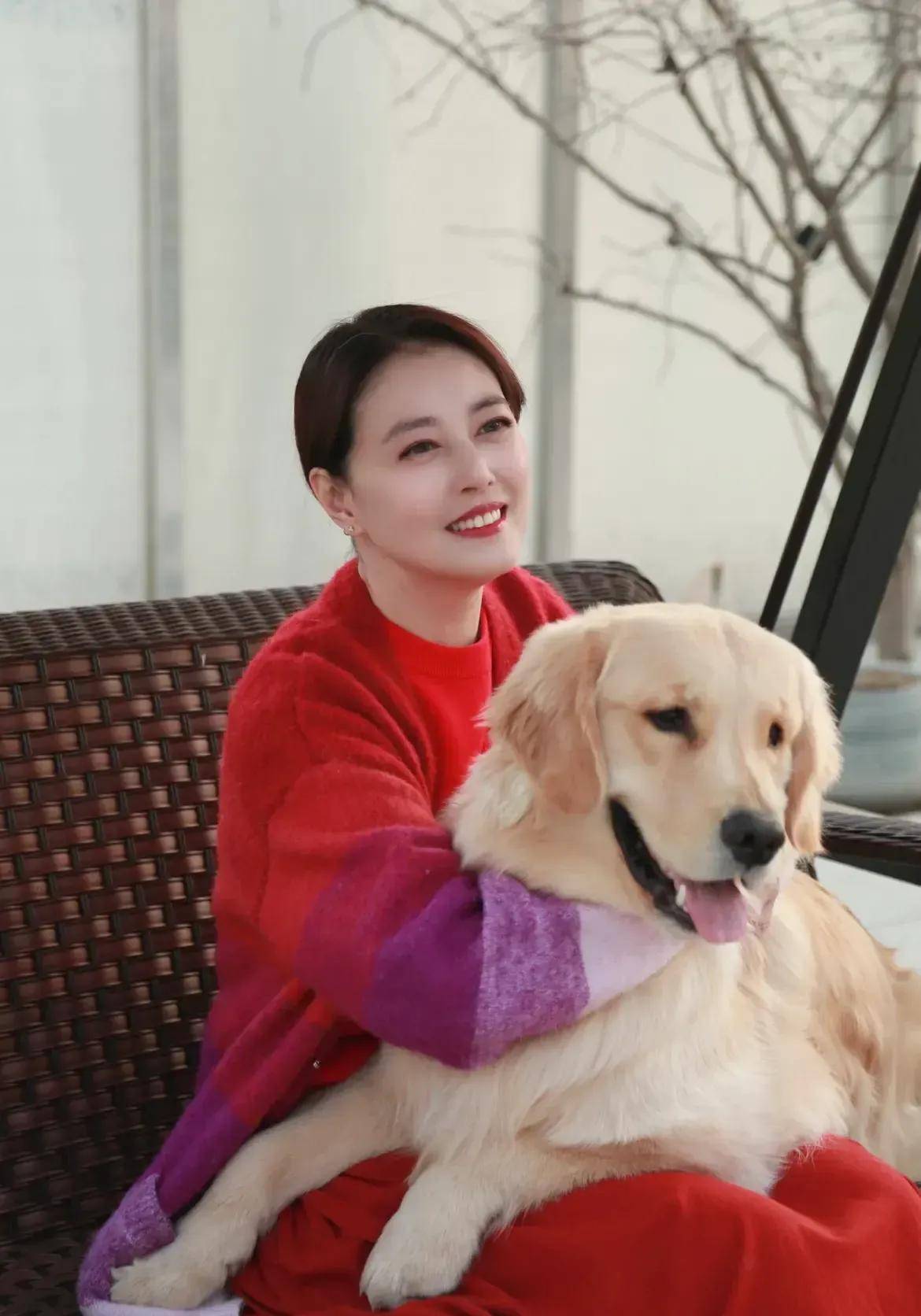 原创养8只狗1只刺猬种菜烧饭煲汤55岁周海媚独自一人住豪宅很惬意