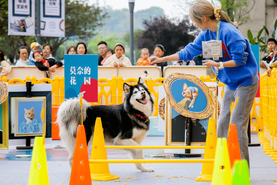 龙湖地产丨源著天街以宠物激发商业潜能,龙湖商业又走"蹊径"_活动_城