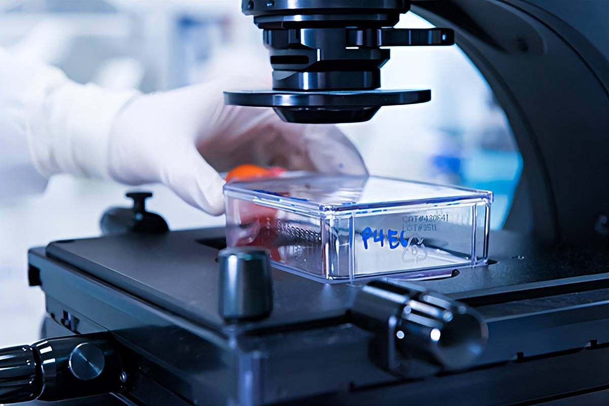 分子影像医药研发外包服务商米度生物完成新一轮战略融资