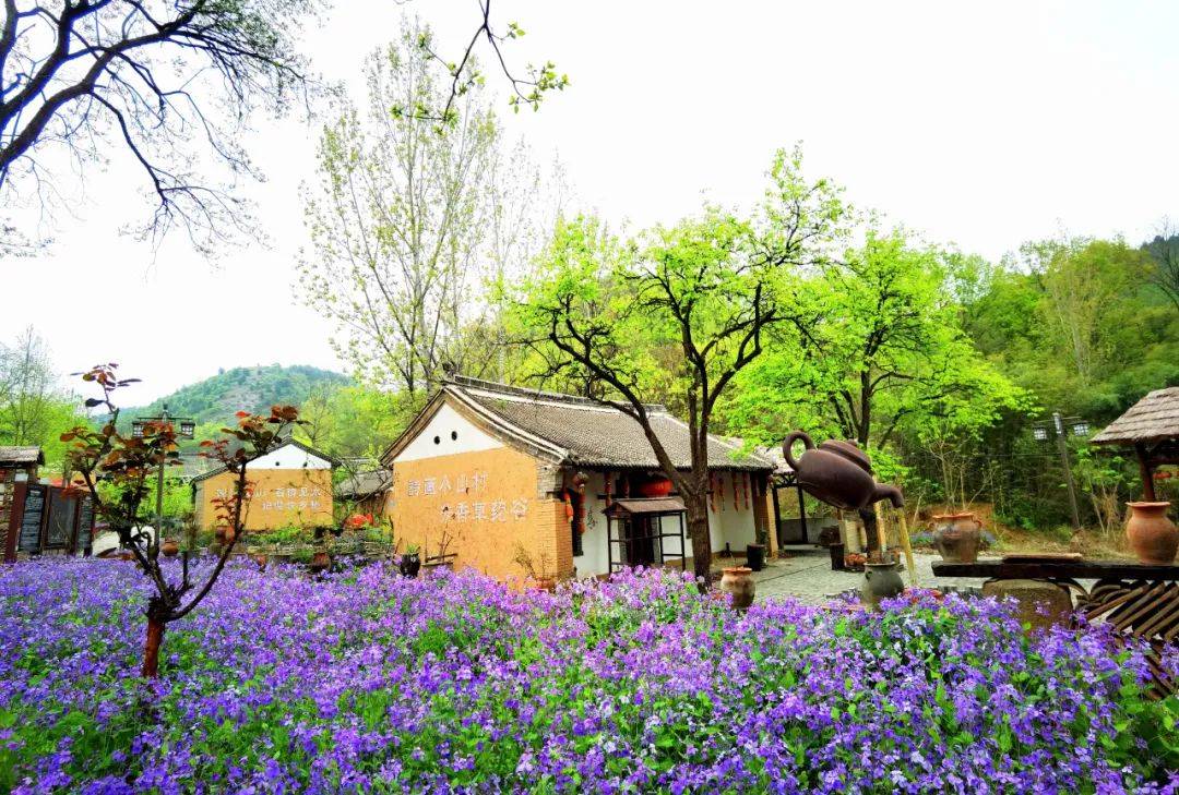 河南旅游豫西百草园鸟语花香惹人醉