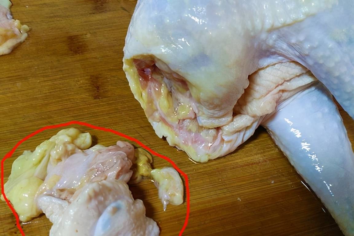 腔上囊发挥免疫功能的过程中会堆积大量的细菌,毒素等各种有害物质,有