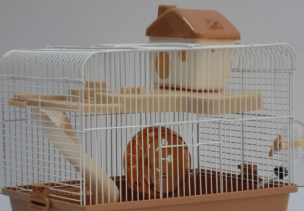 仓鼠笼子怎么清理仓鼠窝多久清理一次