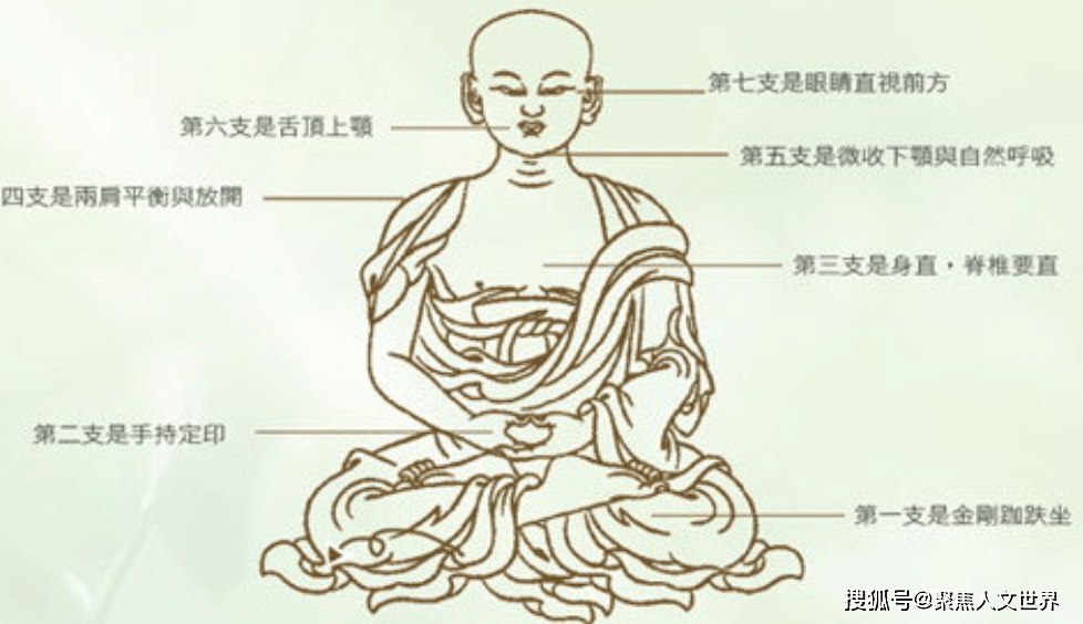 世界神秘生物_世间神秘生物_世间神秘生物有哪些