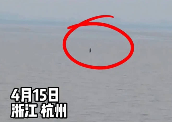 游客拍到一男子疑似在江面行走 这就是江湖失传已久的水上漂？