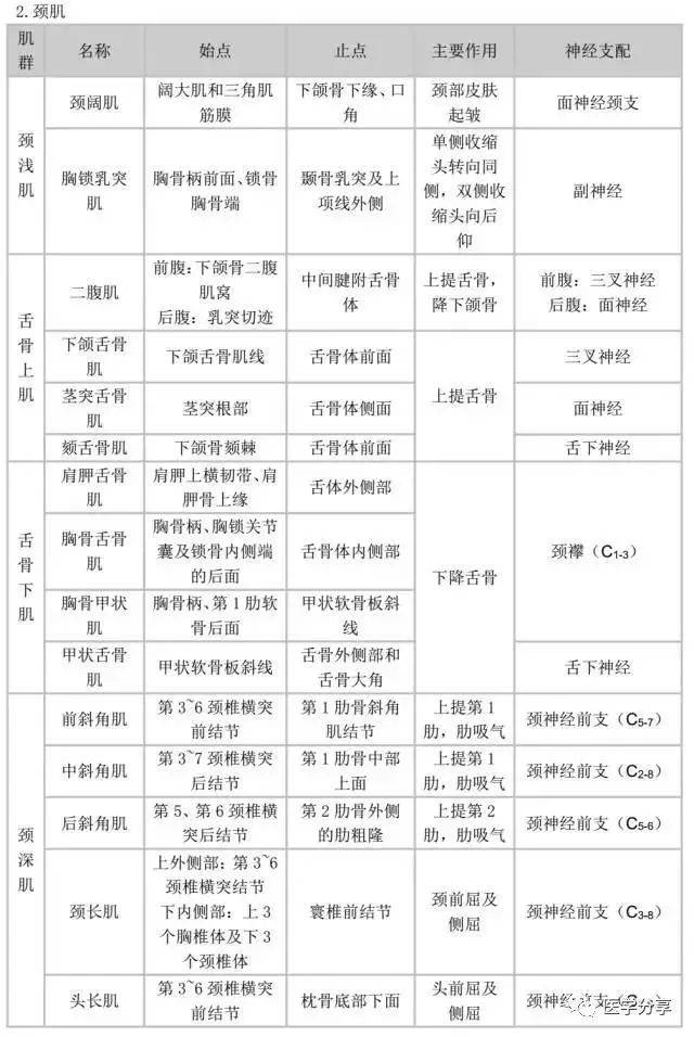 肌肉起止点作用神经支配