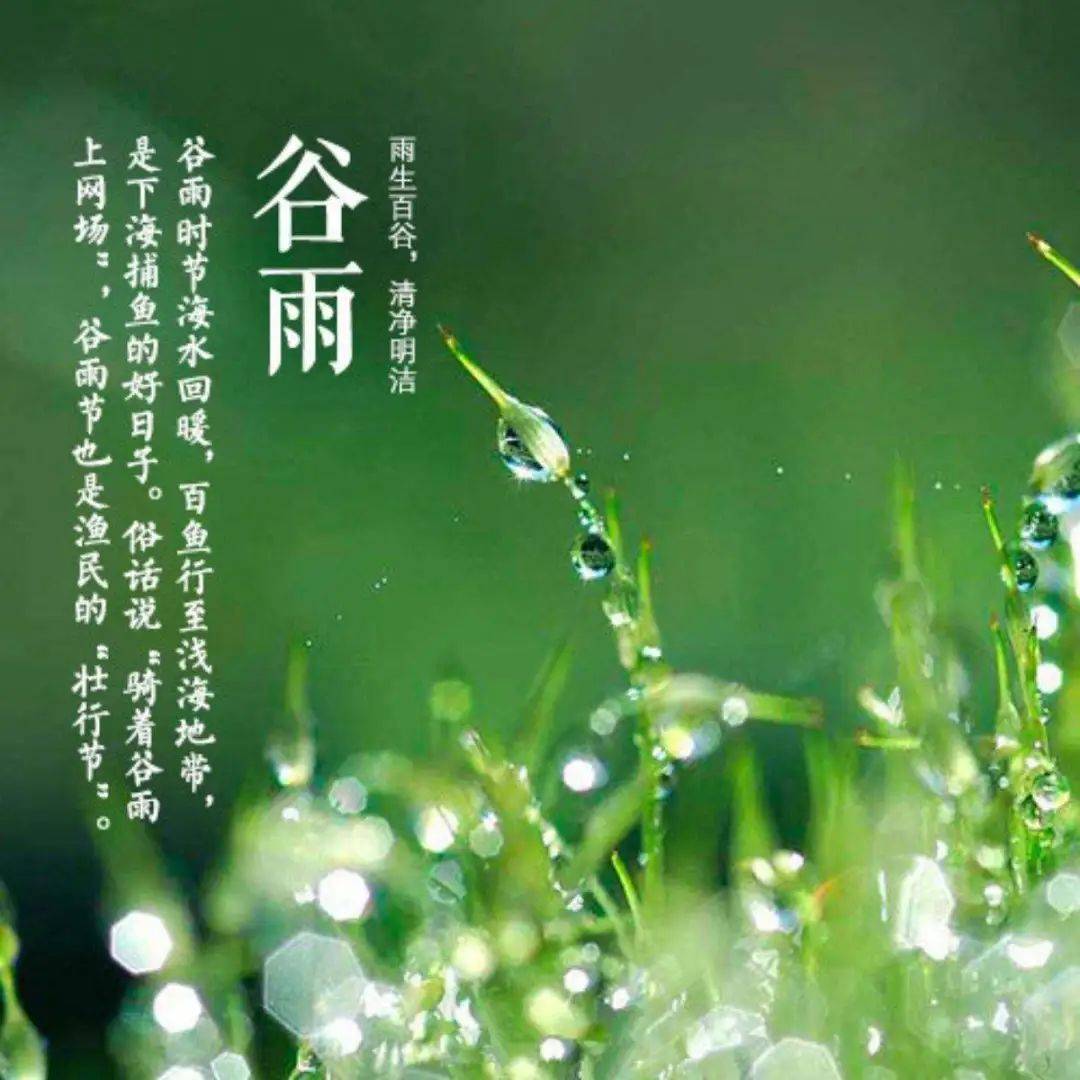 原创2022年4月20日星期三谷雨清晨早上好问候祝福图片周三最新谷雨