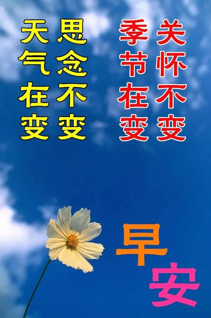 原創8張最新漂亮早上好問候鮮花圖片帶字2022創意唯美春日早上好問候