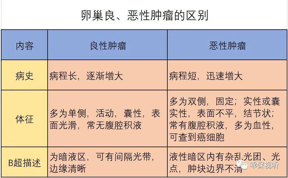 卵巢囊肿的症状(猫咪卵巢囊肿的症状)-第2张图片-鲸幼网