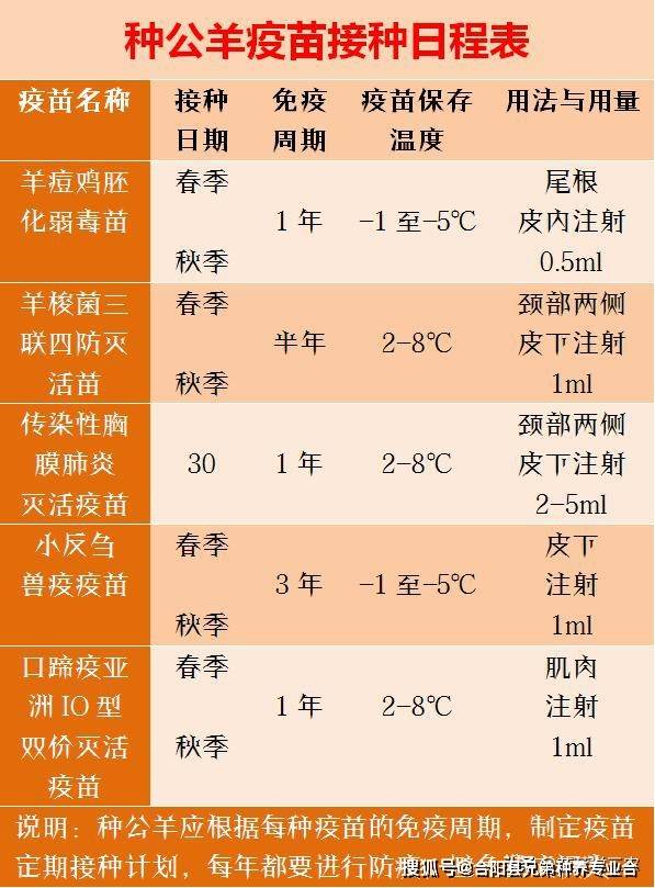 养羊人要的疫苗接种日程表来了,羔羊,母羊,大公羊都有太全了