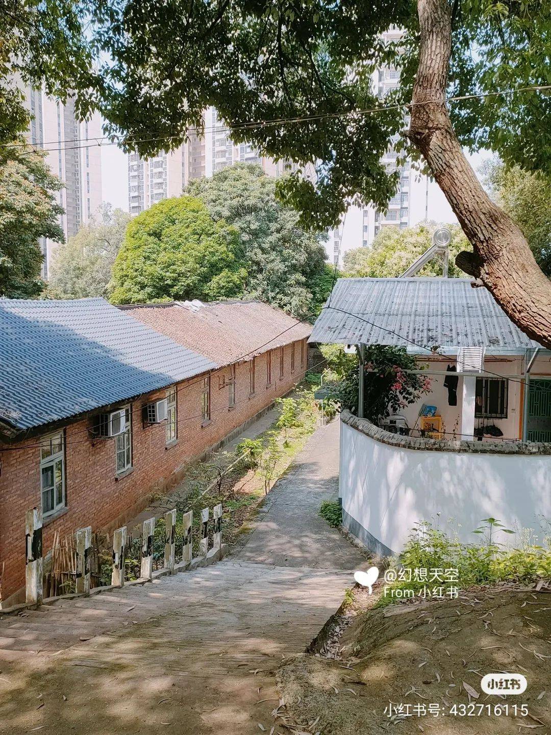 幼儿园这是三村里的一角可以满足你的遐想那么马坝三村里的这个地方如