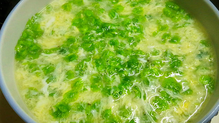 口感鲜嫩脆甜,还可以凉拌吃,或者蒸榆钱饭,鲜嫩又营养!