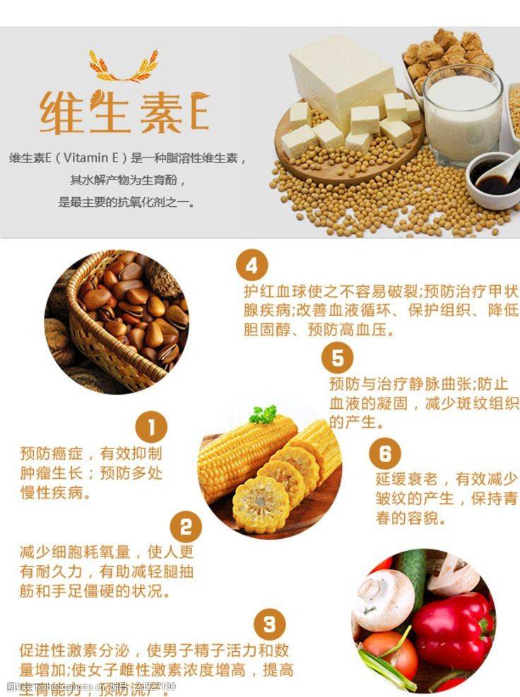 山茶油知识科普三脂溶性的维生素e