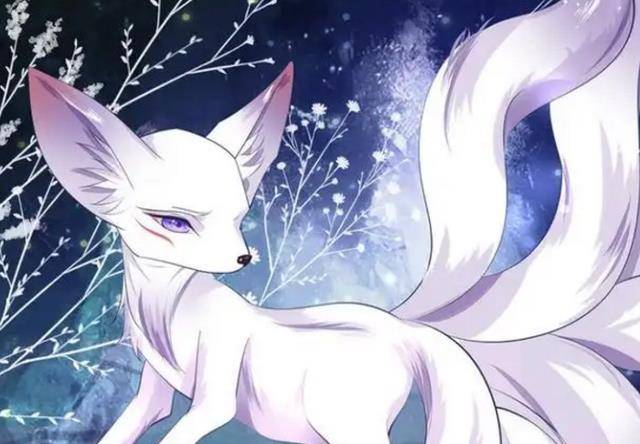 当他错过了一种形状时,他很穷,我们知道他的起源是一个美丽的九尾狐