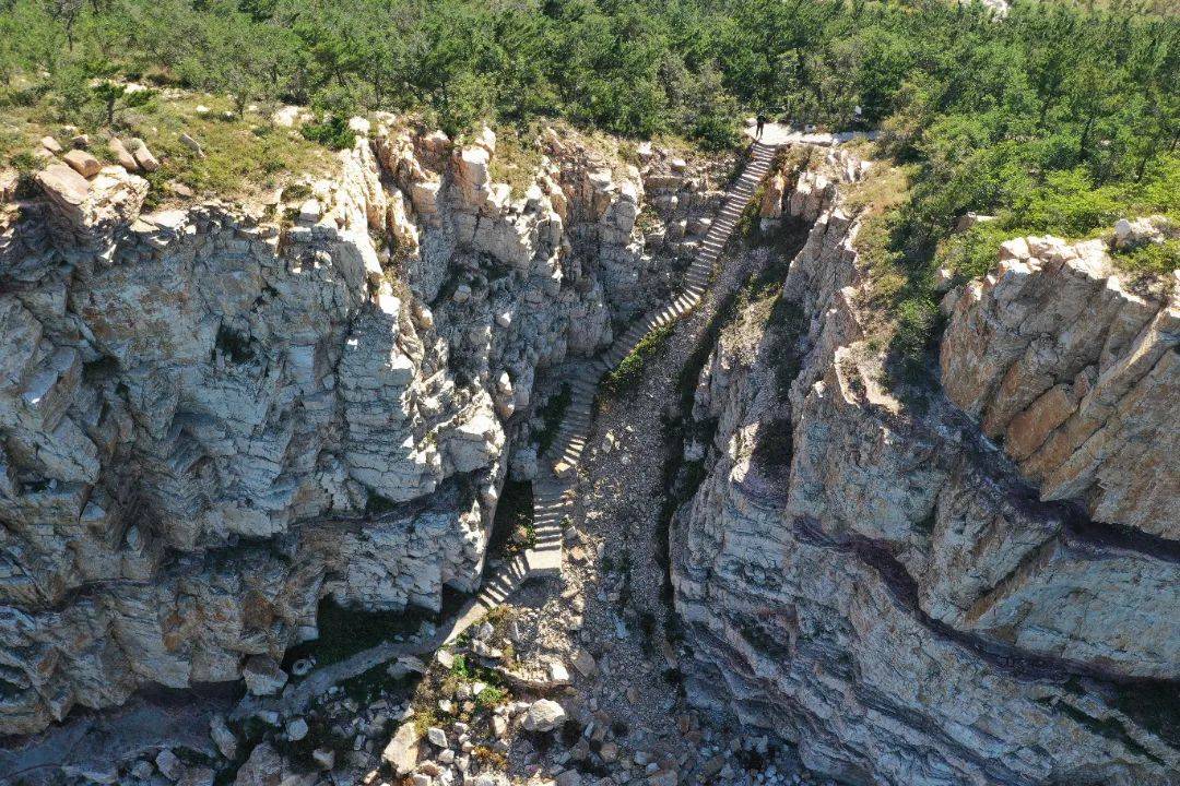 世界地球日大黑山岛万鸟岛邀你一起感知自然