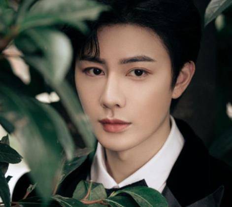 原创大宋少年志王宽近照这鼻子匹诺曹也要甘拜下风