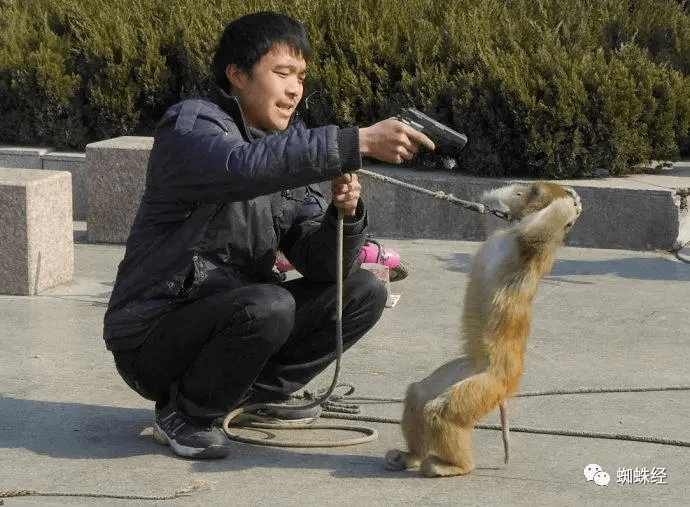 原创真假ypl罗生门别把消费者当猴耍