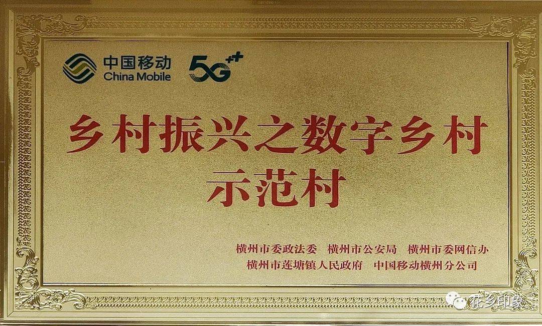 鄉村振興丨強化村企共建助力數字鄉村建設