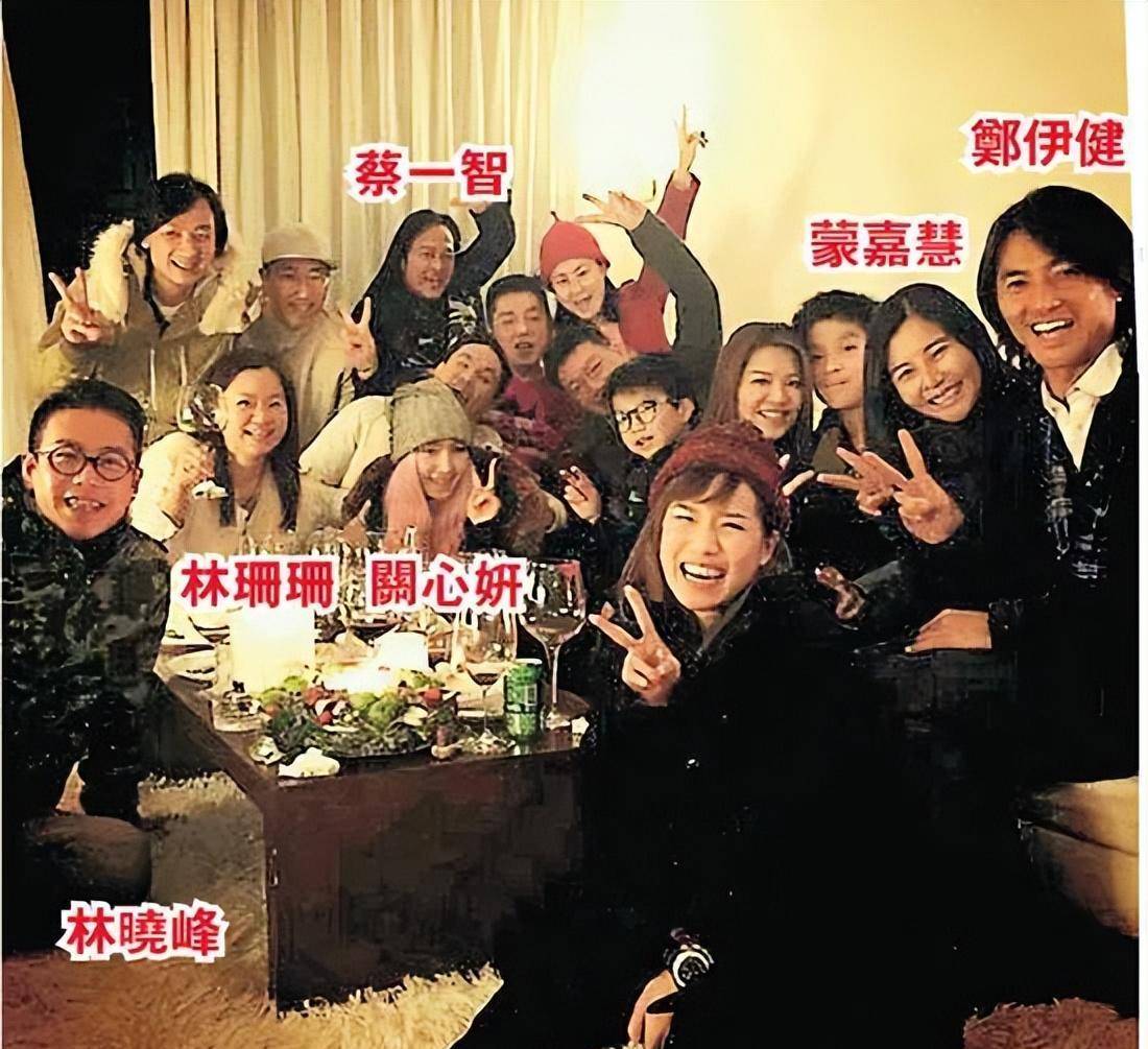 哥哥是大明星林海峰,大嫂是天后彭玲,舅舅是武打巨星狄龙,林晓峰也就