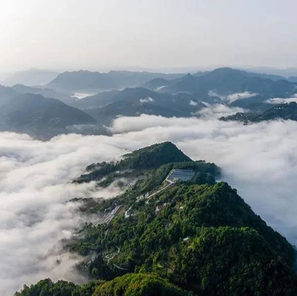 每逢雨後天晴的清晨雲霧在山谷中升起留下一個個山丘露出雲海如大海之