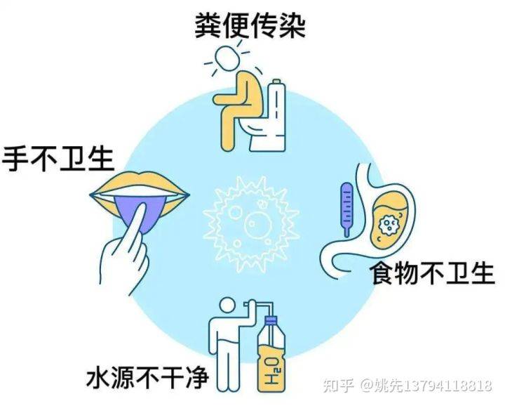 小心輪狀病毒來襲接骨木莓滴劑申請出戰